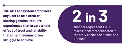 Read more about the article TikTok Shares Insights Into Its Value as a Shopping Tool